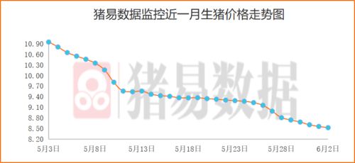 贵州生猪肉价格大幅下跌，对当地养殖户和产业链产生了哪些连锁反应？