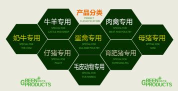如何快速制作猪饲料，有哪些高效便捷的方法和技巧？