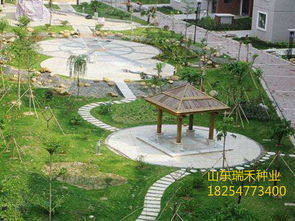 狗牙根：耐寒耐旱的草坪草