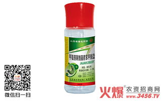 甲氨基阿维菌素对蓟马的防治效果探究