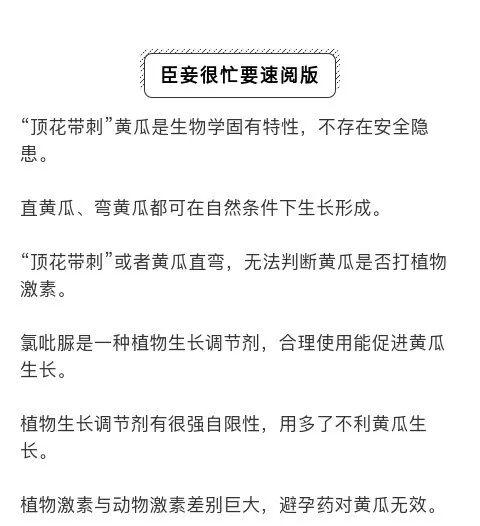 黄瓜打药，你懂多少？