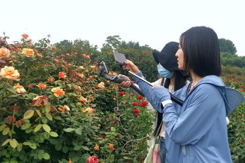 促进城市可持续发展