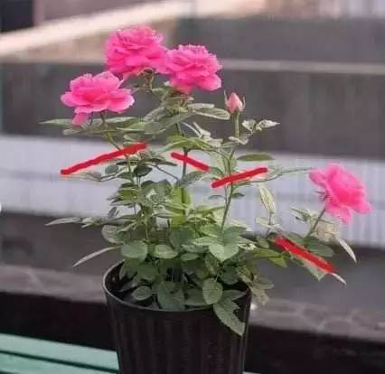 后期管理，不Neng马虎