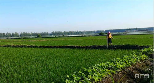 土壤改良大作战