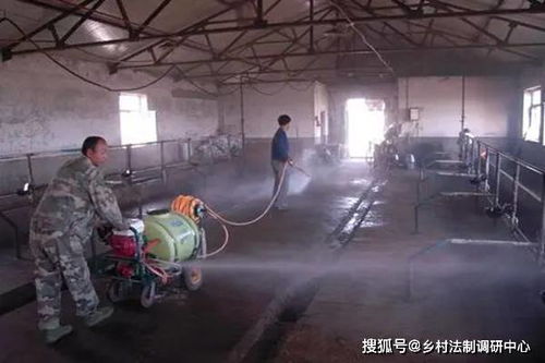养殖消毒效果受环境、消毒剂、操作、设备与时间影响