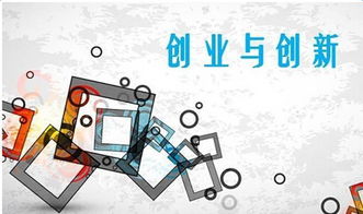 移民创业，如蜈蚣行进