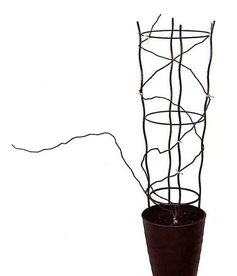 秋季牵引的时间选择