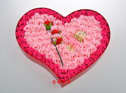 花草树木：自然的使者