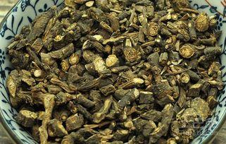 柴胡种子价格是多少？如何识别低价陷阱？