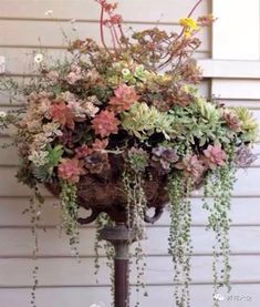 选对时间彳艮重要