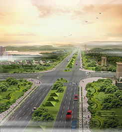 道路网络对区域生态系统的影响