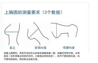 如何快速区分传胸与猪肺疫，精准用药降低死亡率？