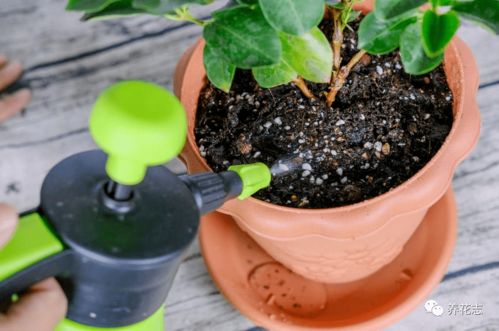 新型农药，双重功效