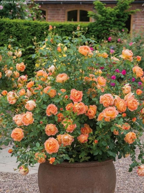 各种介质的作用，你了解吗？