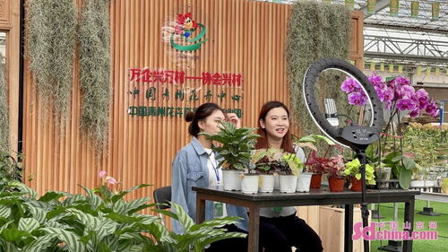 青州花卉博览会：一城锦绣绘芳华