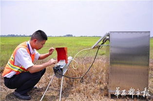 驱鸟神器，轻松解决烦恼