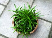 关键参数了解一下