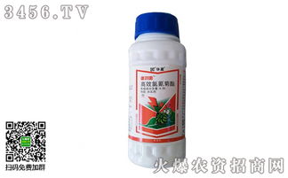 先说说要清洗蔬菜