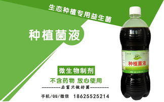 广谱杀菌：诺福的神奇之处