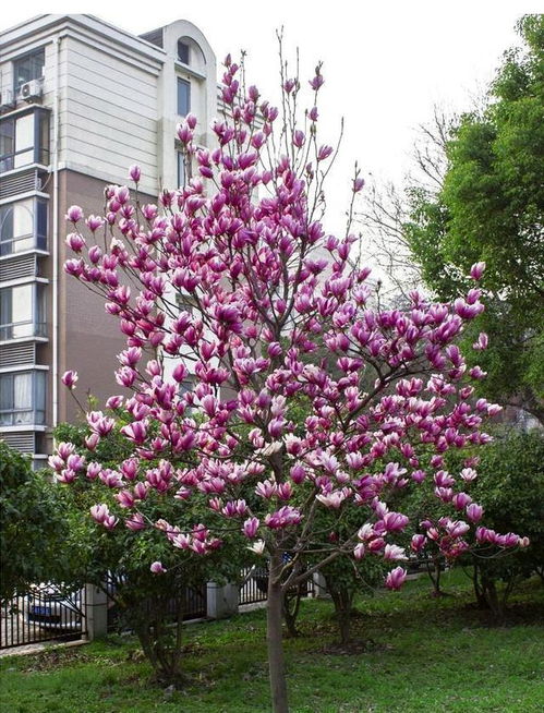 价值与应用大放送