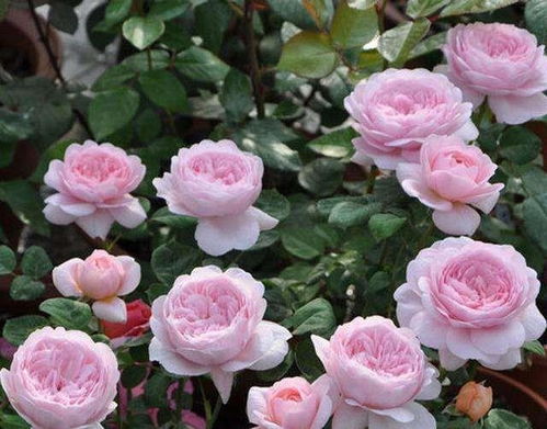 春天是个好时机