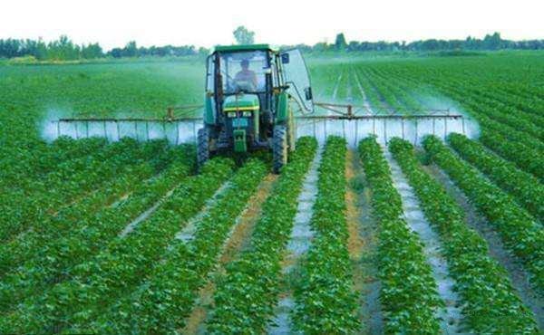 自制有机肥料，环保又健康