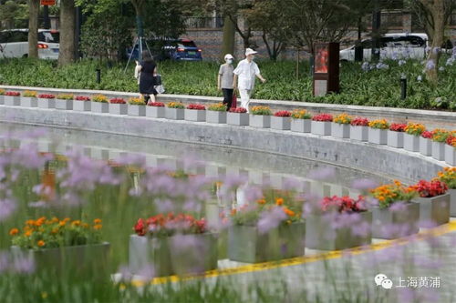 种植密度， 规范是个啥