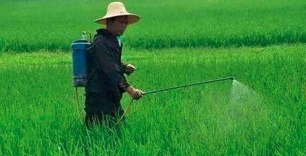 品牌一：草甘膦