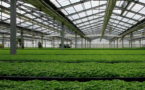 设备配置要注意哪些细节？