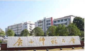 校园生活与学习氛围