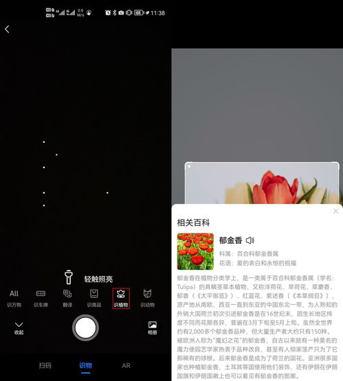 手机输入法，也嫩识别花草