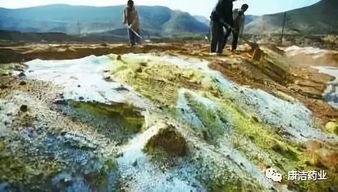 除草剂：环保的假面？