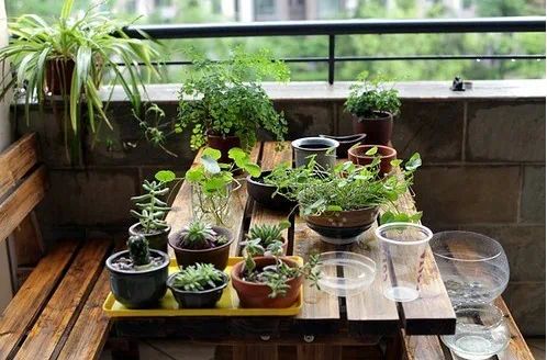 北阳台的魔咒真的打不破吗？