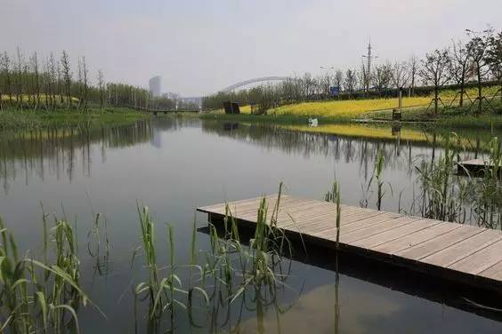 什么是滨水景观设计？