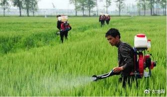 第二章：济南市农业农村局发布的招标信息