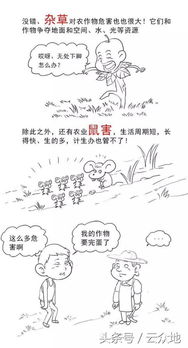 漫画一：农药中毒