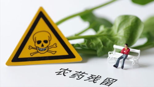 农药残留问题