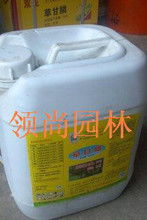 风大的时候可不行