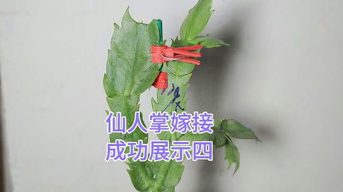 第三步：操作手法，得细致