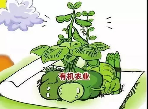 农业养殖七大误区：盲目扩大规模、忽视品种选择、缺乏科学管理、忽视环保、忽视疫病防控、忽视市场调研、忽视人才培养
