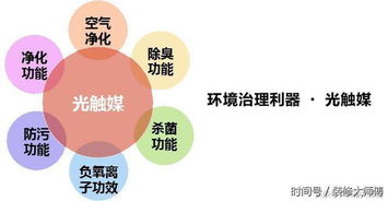 除甲醛的材料与费用