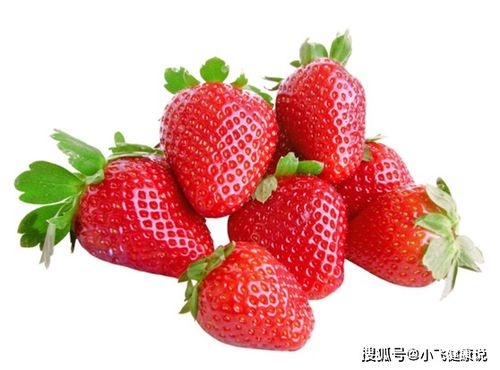 草莓是春季水果，什么时候最甜
