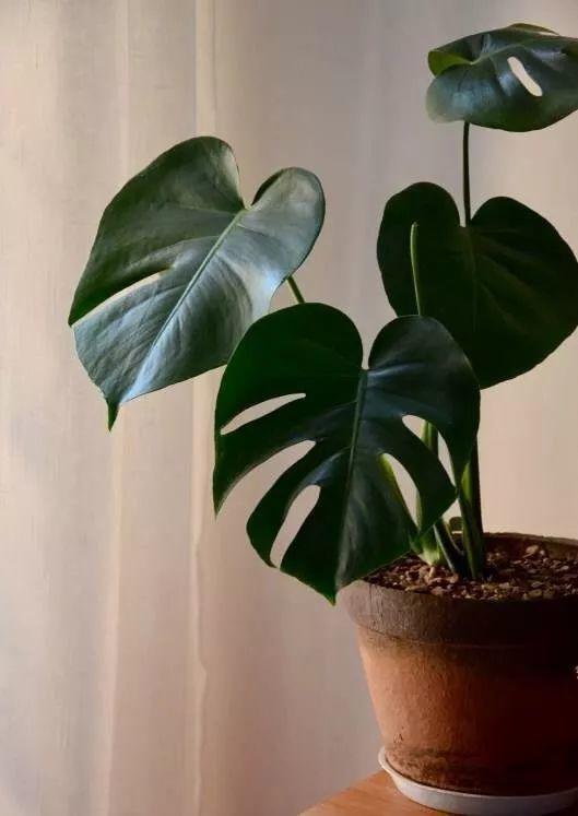 湿度控制生死线