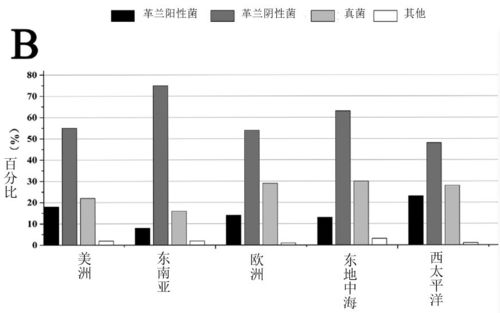 病原体耐药性增强，传统抗菌药物失效
