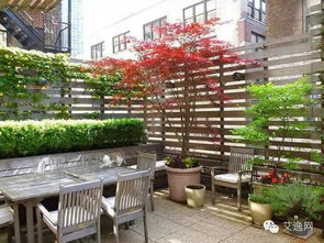 密植问题解决方法