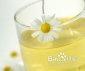 菊花茶功效显著，饮用时有哪些禁忌和注意事项