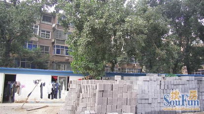 小区树木打农药，环境受不受影响？