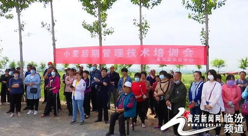 山西曲沃县高显镇：开启循环农业新篇章，花卉产业迎来发展新机遇！