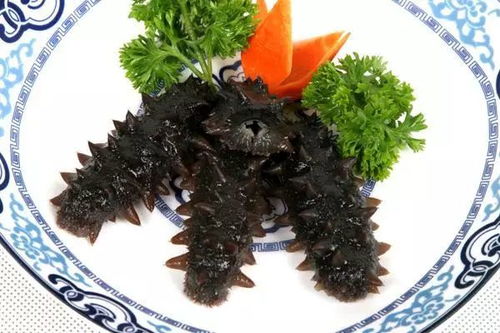 海参农药超标事件：揭秘背后的真相