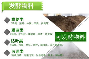 推荐五类主力品种：